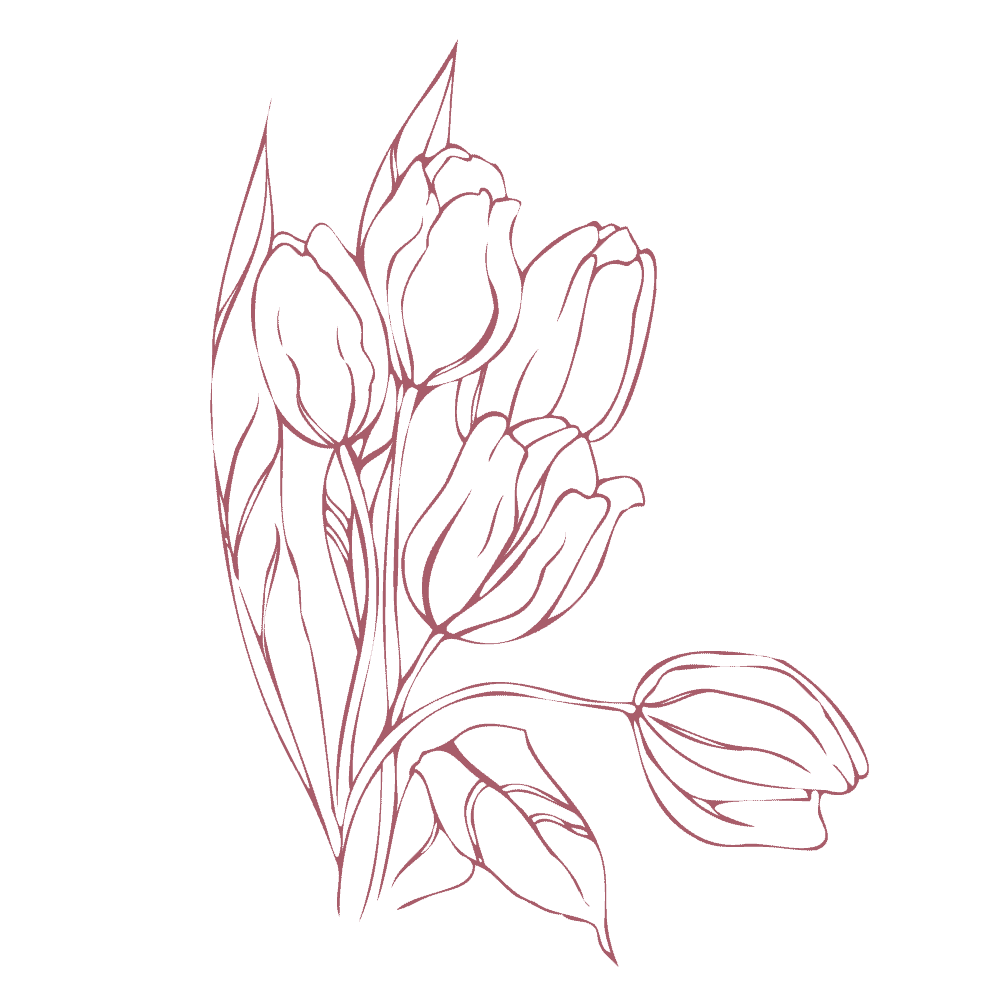tulips-illustration-left